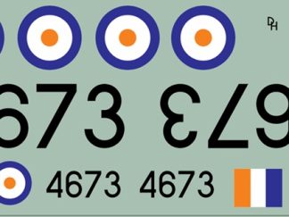 SAAF Tiger Moth (A-Type Roundel)
